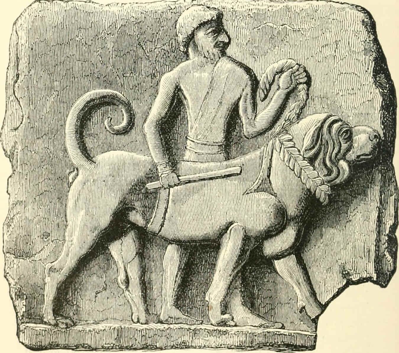 Assyrian Mastiff