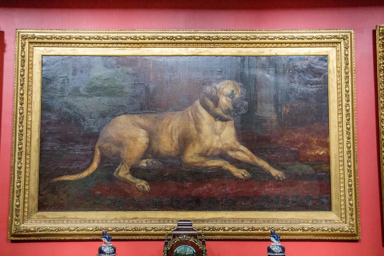 Lyme Mastiff
