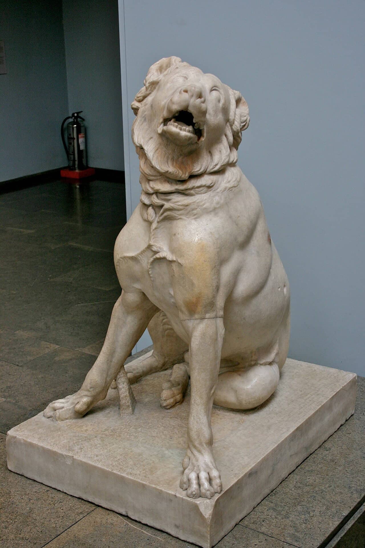 Molossian hound