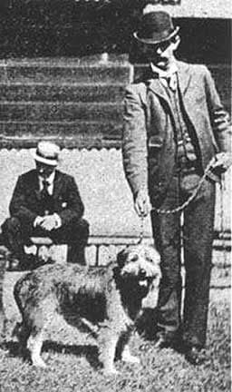 Smithfield (dog)