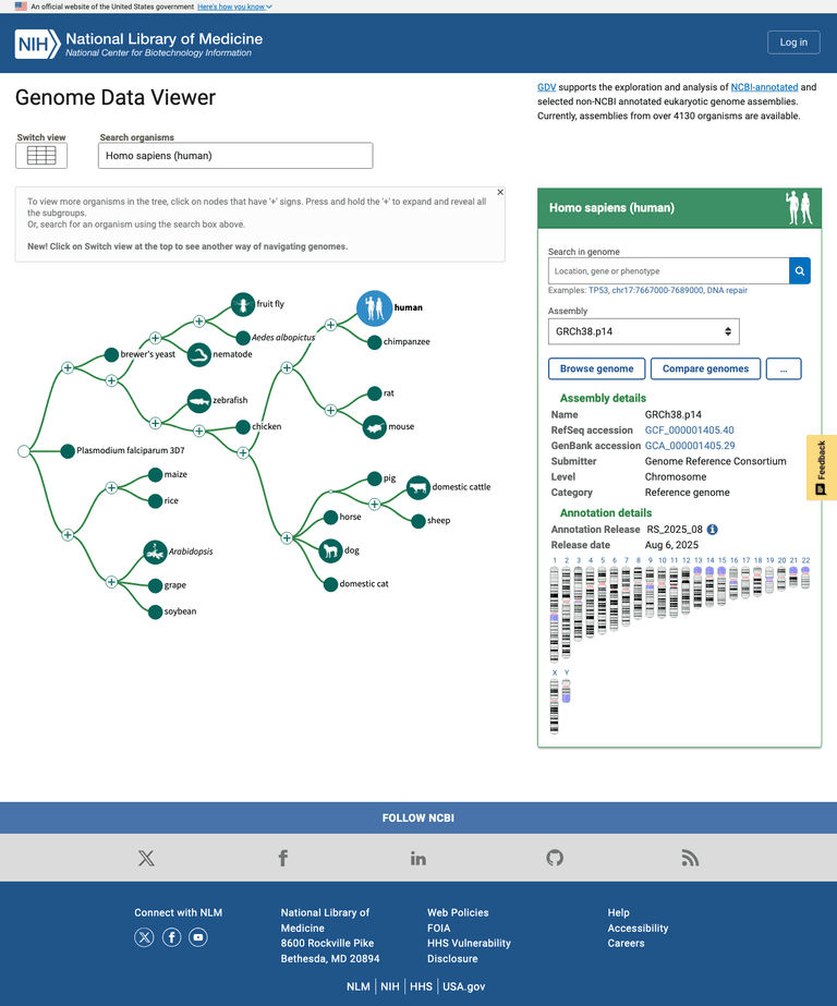 NCBI Genome Data Viewer interactive map | Jesus Iniesta