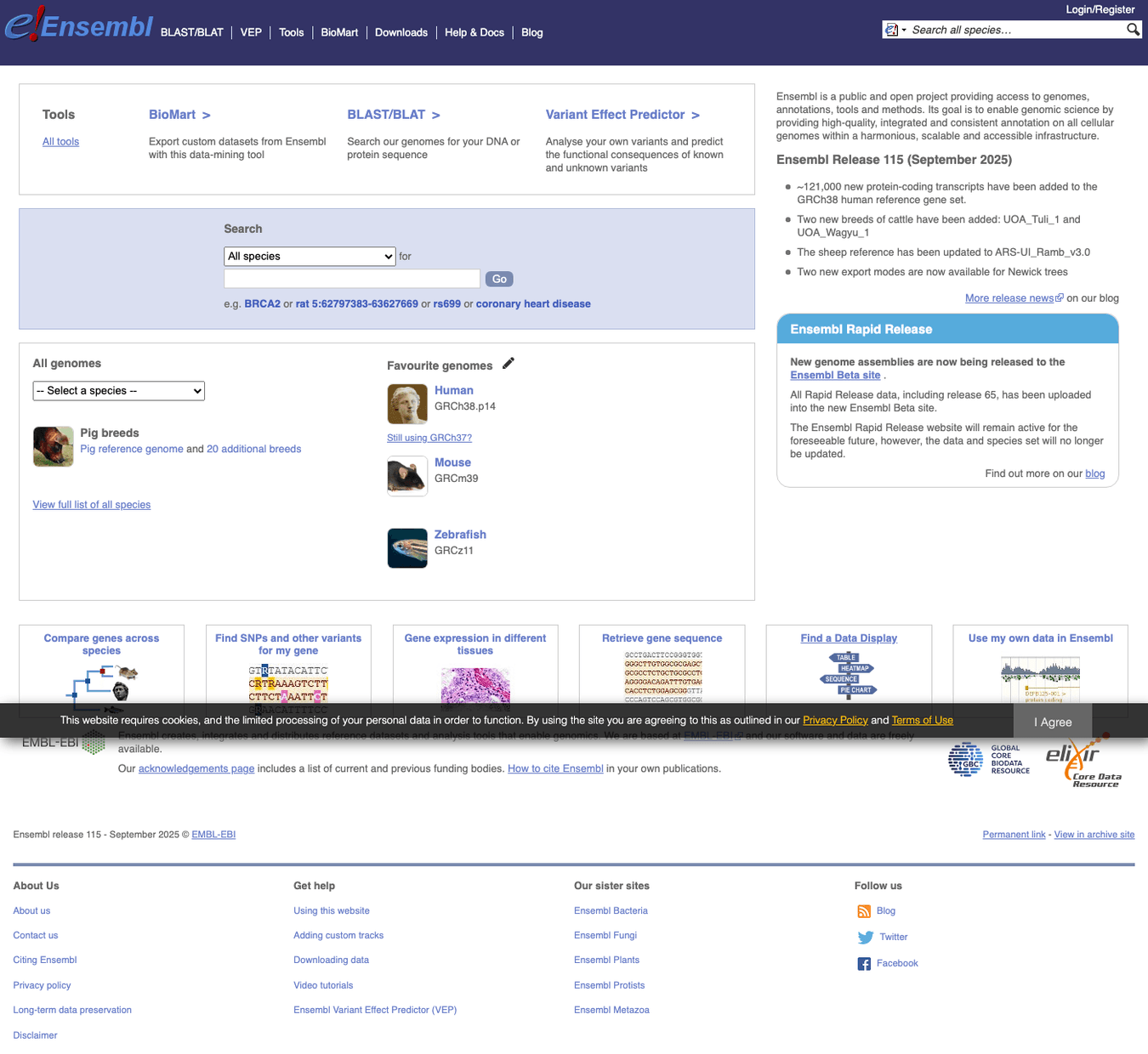 Ensembl Genome Browser