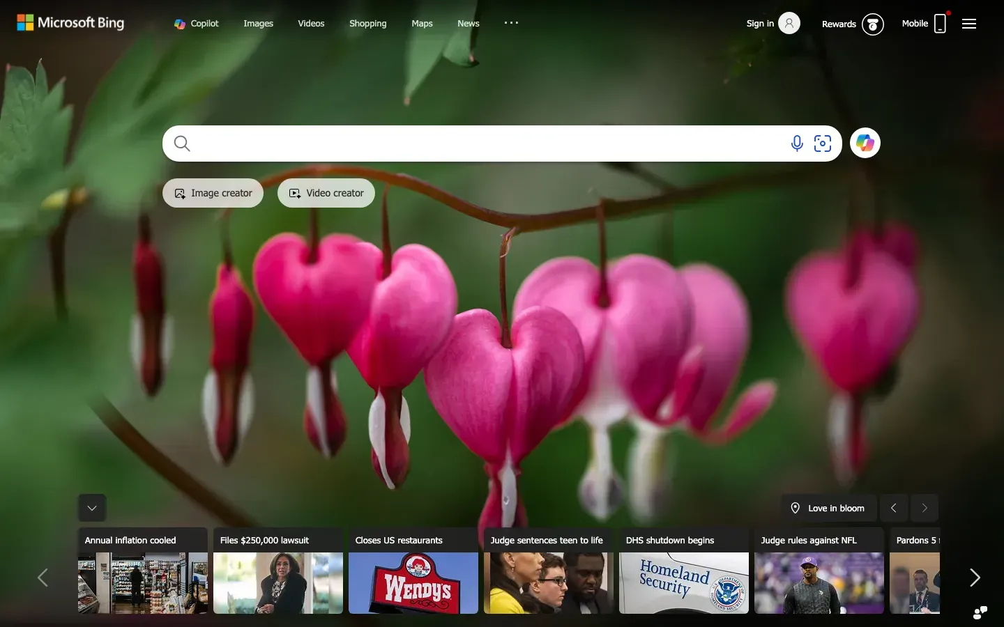 Bing desktop preview